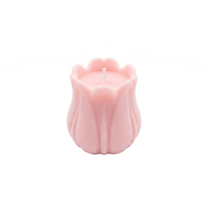seashell candle (copy)