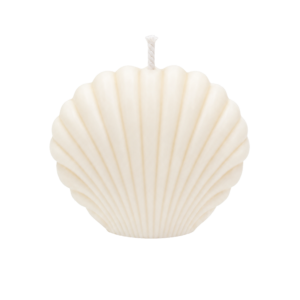 seashell candle