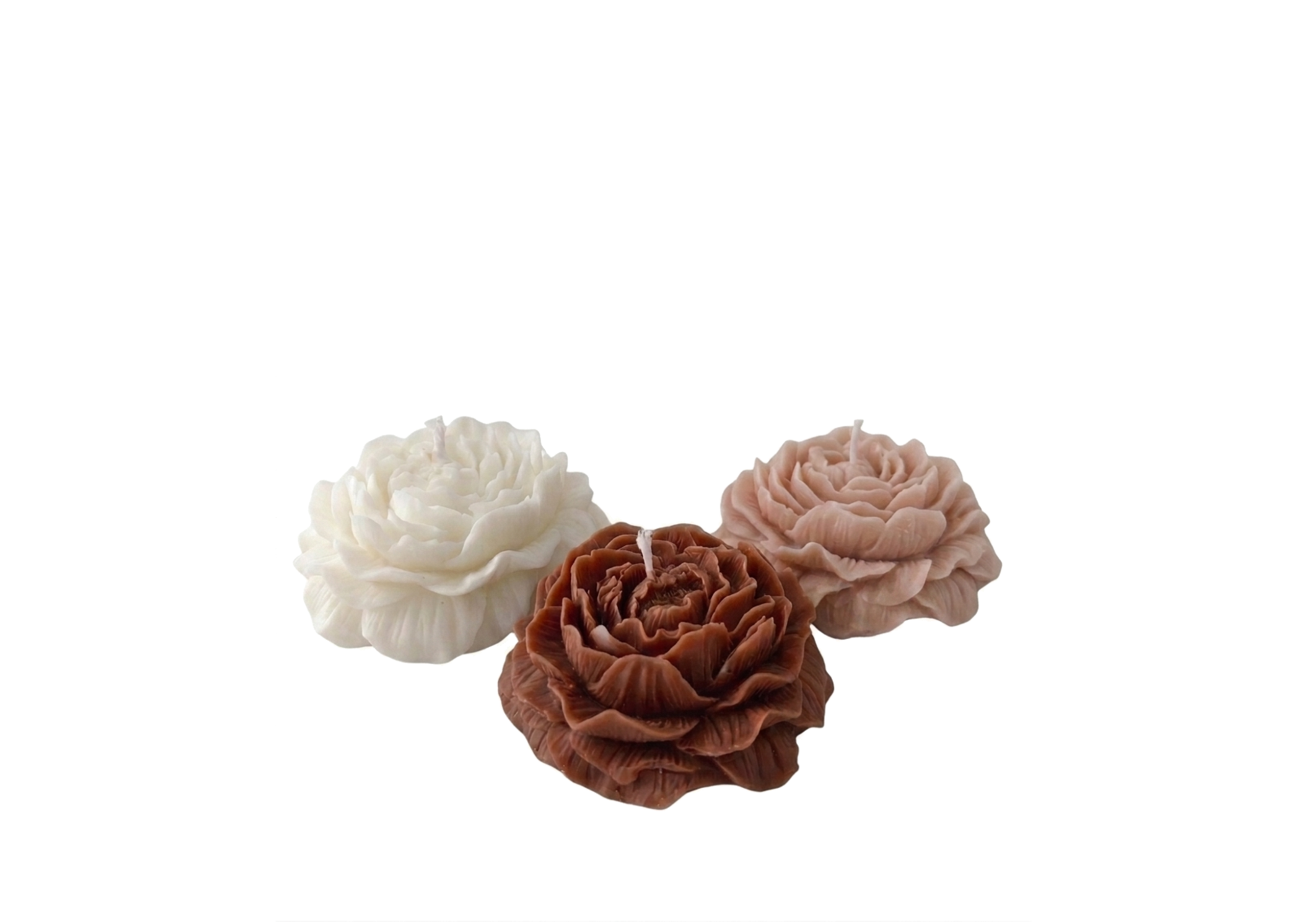 seashell candle (copy) seashell candle (copy)